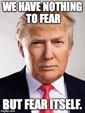 Donald Trump | WE HAVE NOTHING TO FEAR; BUT FEAR ITSELF. | image tagged in donald trump | made w/ Imgflip meme maker