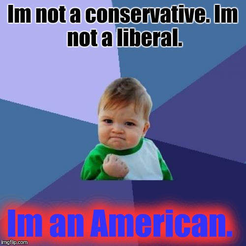 Im a constitutionalists | Im not a conservative.
Im not a liberal. Im an American. | image tagged in memes,success kid | made w/ Imgflip meme maker