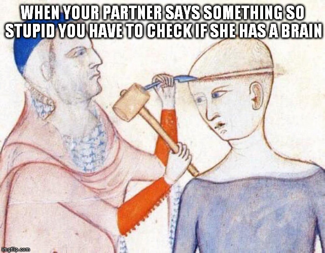 WHEN YOUR PARTNER SAYS SOMETHING SO STUPID YOU HAVE TO CHECK IF SHE HAS A BRAIN | image tagged in brain check | made w/ Imgflip meme maker