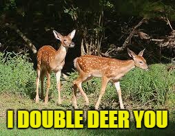I DOUBLE DEER YOU | made w/ Imgflip meme maker