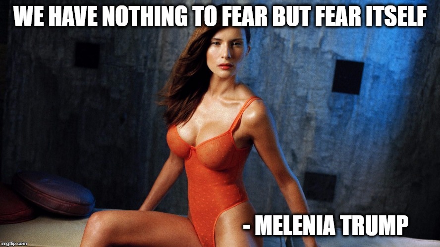 Plagerism | WE HAVE NOTHING TO FEAR BUT FEAR ITSELF - MELENIA TRUMP | image tagged in donald trump | made w/ Imgflip meme maker