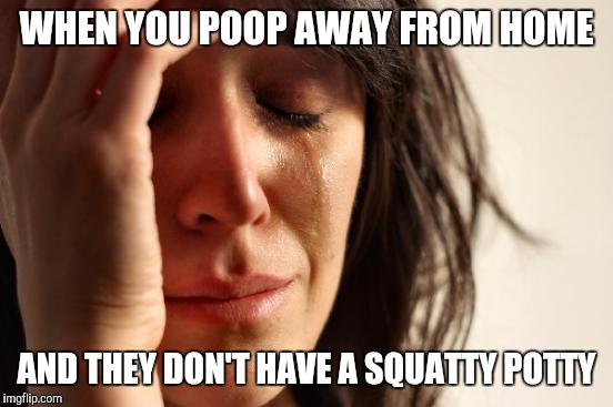 Those things work wonders.  If you don't know what they are, look them up | WHEN YOU POOP AWAY FROM HOME; AND THEY DON'T HAVE A SQUATTY POTTY | image tagged in memes,first world problems | made w/ Imgflip meme maker