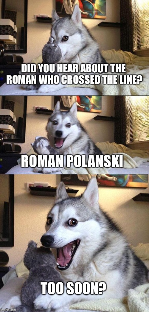 Bad Pun Dog Meme | DID YOU HEAR ABOUT THE ROMAN WHO CROSSED THE LINE? ROMAN POLANSKI TOO SOON? | image tagged in memes,bad pun dog | made w/ Imgflip meme maker