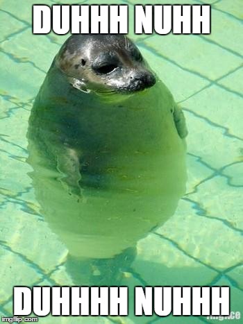 Standing Seal | DUHHH NUHH; DUHHHH NUHHH | image tagged in standing seal | made w/ Imgflip meme maker