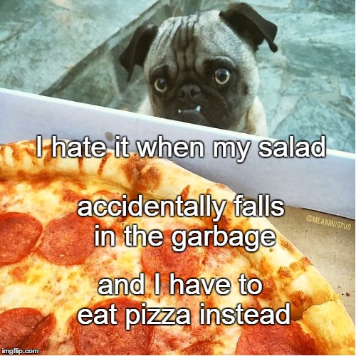 Pizza Pug | I hate it when my salad; accidentally falls in the garbage; and I have to eat pizza instead | image tagged in pug,pizza,salad,too bad so sad,upvote,memes | made w/ Imgflip meme maker