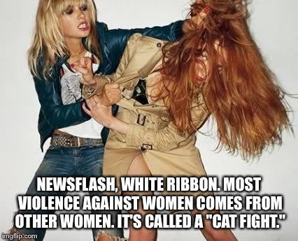 Cat Fight | NEWSFLASH, WHITE RIBBON. MOST VIOLENCE AGAINST WOMEN COMES FROM OTHER WOMEN. IT'S CALLED A "CAT FIGHT." | image tagged in cat fight | made w/ Imgflip meme maker