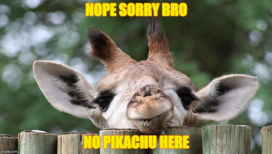 NOPE SORRY BRO; NO PIKACHU HERE | image tagged in not a pikachu | made w/ Imgflip meme maker