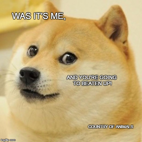 Doge Meme | WAS IT'S ME, AND YOU'RE GOING TO BEATEN UP! COUNTRY OF ANIMALS | image tagged in memes,doge | made w/ Imgflip meme maker