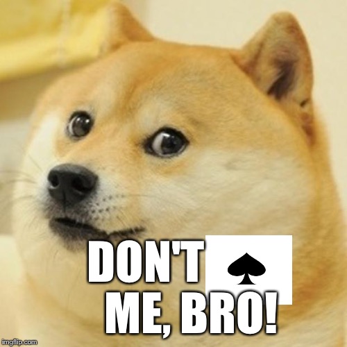 Doge Meme | DON'T          ME, BRO! | image tagged in memes,doge | made w/ Imgflip meme maker