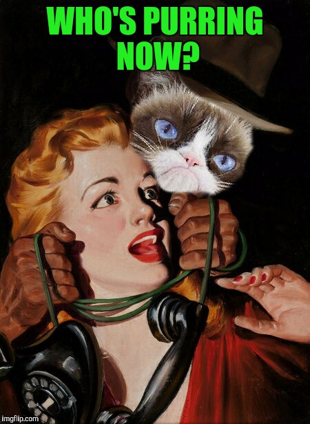 Grumpy Cat Gone Full Grump | WHO'S PURRING NOW? | image tagged in grumpy cat | made w/ Imgflip meme maker
