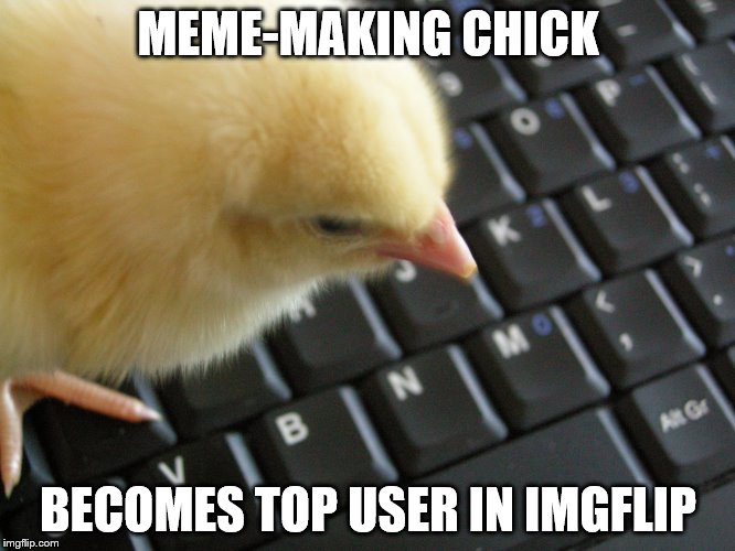 meme making animal | MEME-MAKING CHICK; BECOMES TOP USER IN IMGFLIP | image tagged in chick,imgflip,imgflip user,top user,top users,top memes | made w/ Imgflip meme maker