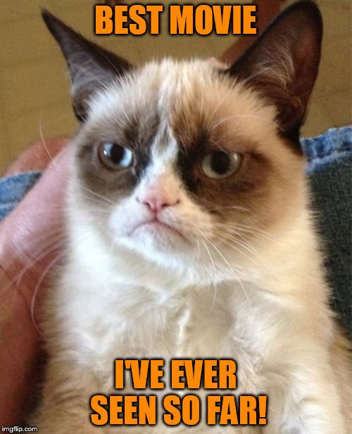 Grumpy Cat Meme | BEST MOVIE I'VE EVER SEEN SO FAR! | image tagged in memes,grumpy cat | made w/ Imgflip meme maker