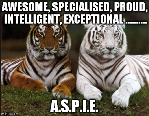Two tigers | AWESOME, SPECIALISED, PROUD, INTELLIGENT, EXCEPTIONAL .......... A.S.P.I.E. | image tagged in two tigers | made w/ Imgflip meme maker
