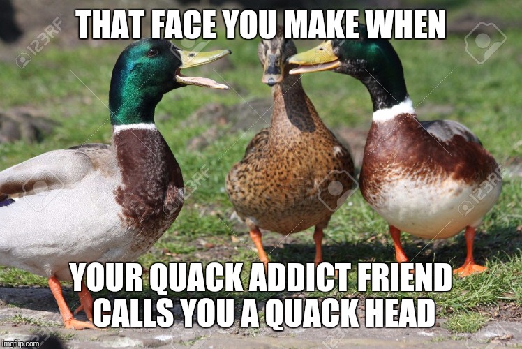 Ducks | THAT FACE YOU MAKE WHEN; YOUR QUACK ADDICT FRIEND CALLS YOU A QUACK HEAD | image tagged in ducks | made w/ Imgflip meme maker