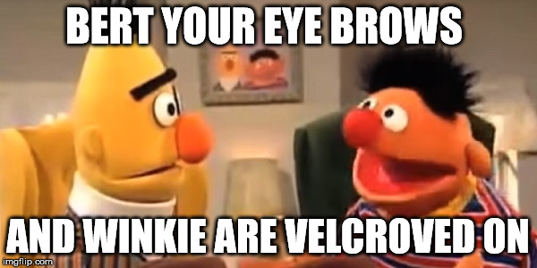 Velcro | BERT YOUR EYE BROWS; AND WINKIE ARE VELCROVED ON | image tagged in bert and ernie | made w/ Imgflip meme maker