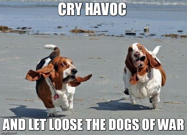 Cry Havoc | CRY HAVOC; AND LET LOOSE THE DOGS OF WAR | image tagged in william shakespeare,julius caesar,dog,beach | made w/ Imgflip meme maker