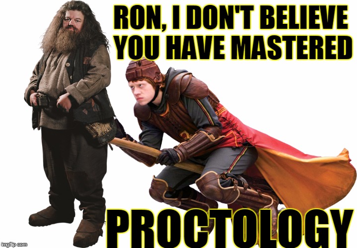 Maybe Her-Hi-a-knee should take a look instead | RON, I DON'T BELIEVE YOU HAVE MASTERED; PROCTOLOGY | image tagged in funny,meme,not political,harry potter | made w/ Imgflip meme maker