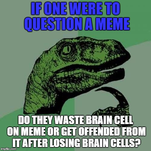 Philosoraptor Meme | IF ONE WERE TO QUESTION A MEME; DO THEY WASTE BRAIN CELL ON MEME OR GET OFFENDED FROM IT AFTER LOSING BRAIN CELLS? | image tagged in memes,philosoraptor | made w/ Imgflip meme maker