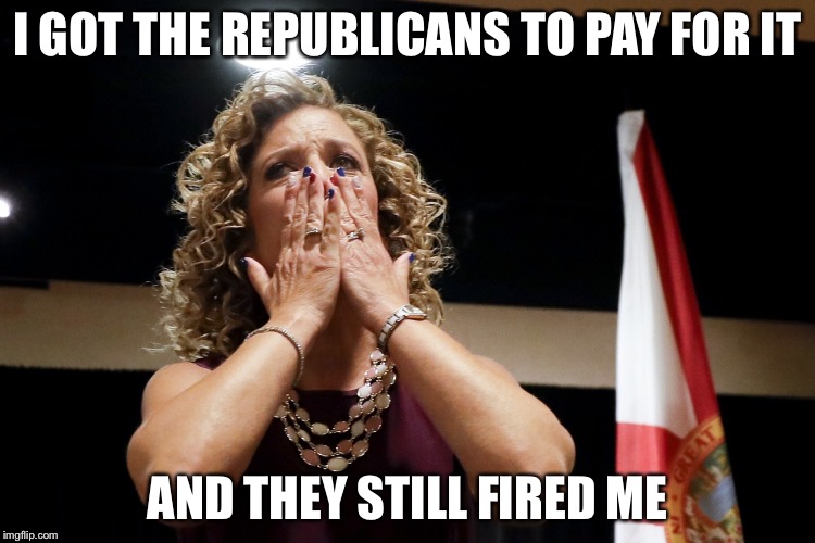 Debbie fired | I GOT THE REPUBLICANS TO PAY FOR IT AND THEY STILL FIRED ME | image tagged in debbie fired | made w/ Imgflip meme maker