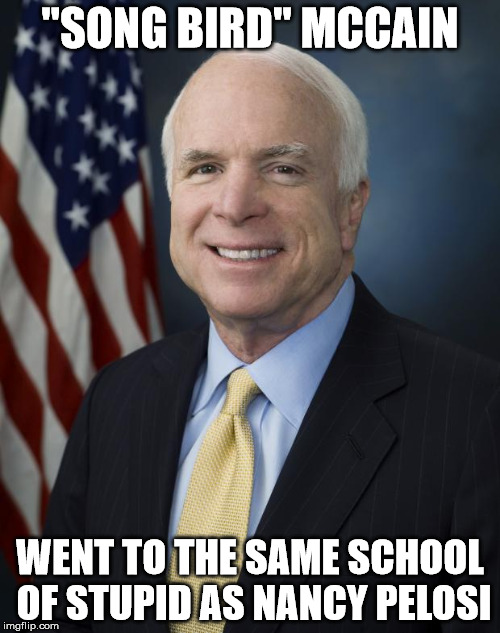 John McCain | "SONG BIRD" MCCAIN; WENT TO THE SAME SCHOOL OF STUPID AS NANCY PELOSI | image tagged in john mccain | made w/ Imgflip meme maker