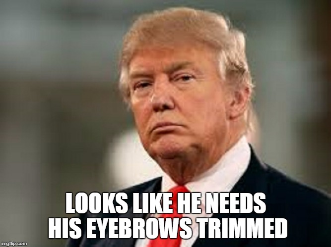 LOOKS LIKE HE NEEDS HIS EYEBROWS TRIMMED | made w/ Imgflip meme maker