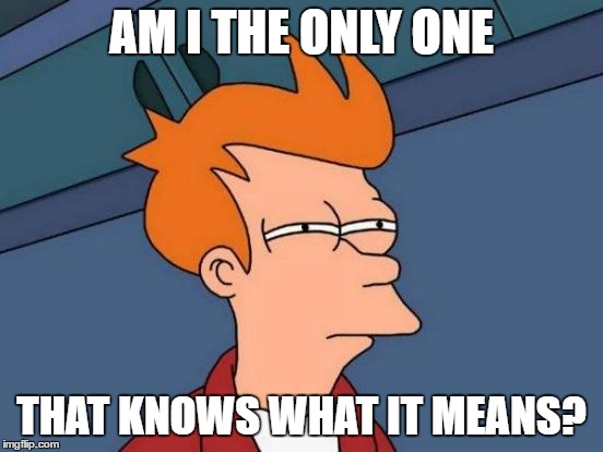 AM I THE ONLY ONE THAT KNOWS WHAT IT MEANS? | image tagged in memes,futurama fry | made w/ Imgflip meme maker