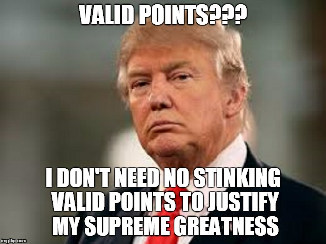 VALID POINTS??? I DON'T NEED NO STINKING VALID POINTS TO JUSTIFY MY SUPREME GREATNESS | made w/ Imgflip meme maker