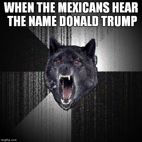 Insanity Wolf | WHEN THE MEXICANS HEAR THE NAME DONALD TRUMP | image tagged in memes,insanity wolf | made w/ Imgflip meme maker