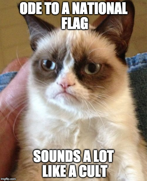 Grumpy Cat Meme | ODE TO A NATIONAL FLAG; SOUNDS A LOT LIKE A CULT | image tagged in memes,grumpy cat | made w/ Imgflip meme maker