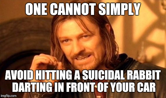 One Does Not Simply Meme | ONE CANNOT SIMPLY; AVOID HITTING A SUICIDAL RABBIT DARTING IN FRONT OF YOUR CAR | image tagged in memes,one does not simply | made w/ Imgflip meme maker