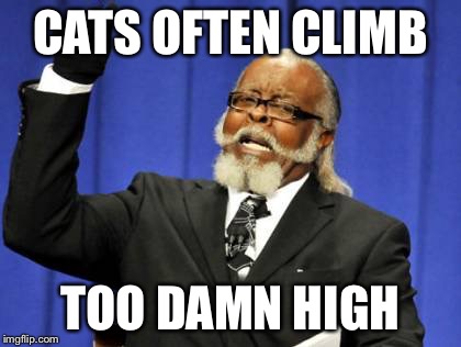 Too Damn High Meme | CATS OFTEN CLIMB TOO DAMN HIGH | image tagged in memes,too damn high | made w/ Imgflip meme maker