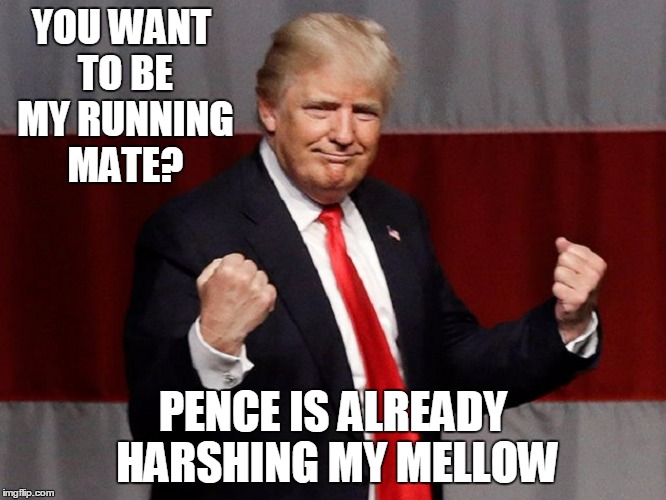 YOU WANT TO BE MY RUNNING MATE? PENCE IS ALREADY HARSHING MY MELLOW | made w/ Imgflip meme maker