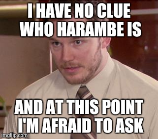 Afraid To Ask Andy (Closeup) | I HAVE NO CLUE  WHO HARAMBE IS; AND AT THIS POINT I'M AFRAID TO ASK | image tagged in memes,afraid to ask andy closeup | made w/ Imgflip meme maker