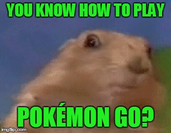 YOU KNOW HOW TO PLAY POKÉMON GO? | made w/ Imgflip meme maker