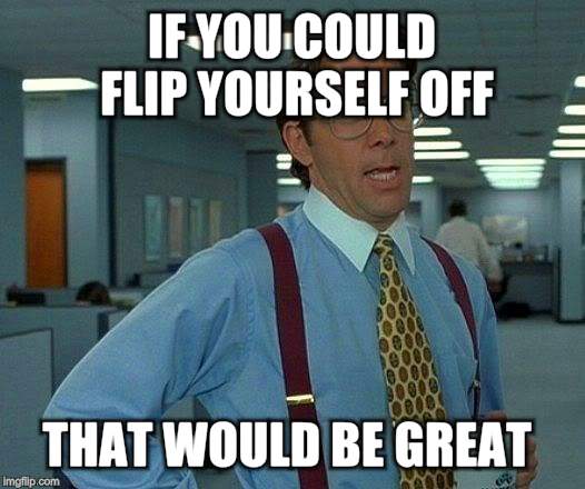 That Would Be Great Meme | IF YOU COULD FLIP YOURSELF OFF THAT WOULD BE GREAT | image tagged in memes,that would be great | made w/ Imgflip meme maker