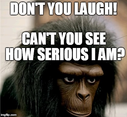 Serious Face | DON'T YOU LAUGH! CAN'T YOU SEE HOW SERIOUS I AM? | image tagged in laugh,serious,don't laugh,monkey,serious face,lol | made w/ Imgflip meme maker