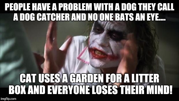Cats rule the world! | PEOPLE HAVE A PROBLEM WITH A DOG THEY CALL A DOG CATCHER AND NO ONE BATS AN EYE.... CAT USES A GARDEN FOR A LITTER BOX AND EVERYONE LOSES THEIR MIND! | image tagged in memes,and everybody loses their minds | made w/ Imgflip meme maker