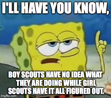 I'll Have You Know Spongebob Meme | I'LL HAVE YOU KNOW, BOY SCOUTS HAVE NO IDEA WHAT THEY ARE DOING WHILE GIRL SCOUTS HAVE IT ALL FIGURED OUT. | image tagged in memes,ill have you know spongebob | made w/ Imgflip meme maker