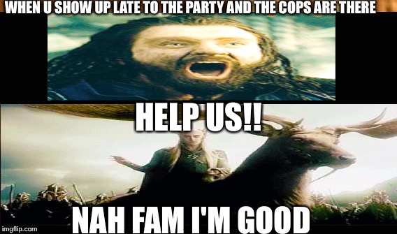 WHEN U SHOW UP LATE TO THE PARTY AND THE COPS ARE THERE; HELP US!! NAH FAM I'M GOOD | image tagged in the hobbit,thranduil and thorin,first meme | made w/ Imgflip meme maker