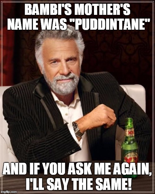 The Most Interesting Man In The World Meme | BAMBI'S MOTHER'S NAME WAS "PUDDINTANE" AND IF YOU ASK ME AGAIN, I'LL SAY THE SAME! | image tagged in memes,the most interesting man in the world | made w/ Imgflip meme maker