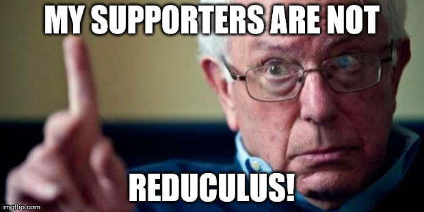 Bernie Sanders | MY SUPPORTERS ARE NOT; REDUCULUS! | image tagged in bernie sanders | made w/ Imgflip meme maker