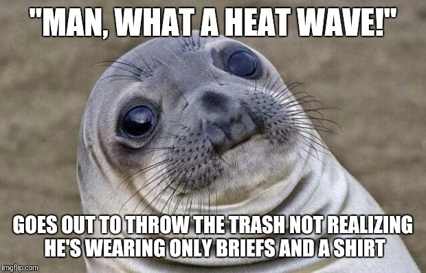 Awkward Moment Sealion Meme | "MAN, WHAT A HEAT WAVE!"; GOES OUT TO THROW THE TRASH NOT REALIZING HE'S WEARING ONLY BRIEFS AND A SHIRT | image tagged in memes,awkward moment sealion | made w/ Imgflip meme maker