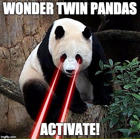 Laser panda | WONDER TWIN PANDAS; ACTIVATE! | image tagged in laser panda | made w/ Imgflip meme maker