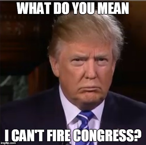 Fallacies of a would be king | WHAT DO YOU MEAN; I CAN'T FIRE CONGRESS? | image tagged in donald trump sulk | made w/ Imgflip meme maker