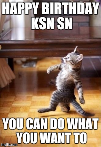 Cool Cat Stroll | HAPPY BIRTHDAY KSN SN; YOU CAN DO WHAT YOU WANT TO | image tagged in memes,cool cat stroll | made w/ Imgflip meme maker