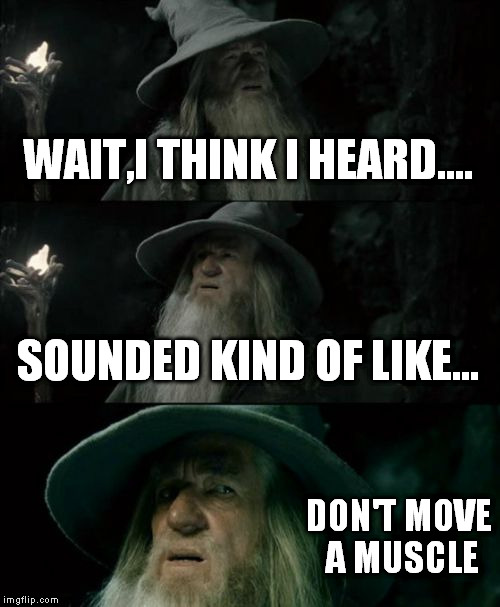 Confused Gandalf | WAIT,I THINK I HEARD.... SOUNDED KIND OF LIKE... DON'T MOVE A MUSCLE | image tagged in memes,confused gandalf | made w/ Imgflip meme maker