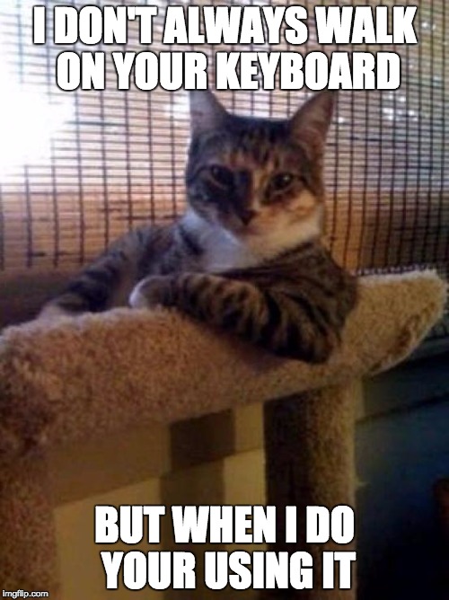 The Most Interesting Cat In The World Meme | I DON'T ALWAYS WALK ON YOUR KEYBOARD; BUT WHEN I DO YOUR USING IT | image tagged in memes,the most interesting cat in the world | made w/ Imgflip meme maker