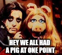 pig | HEY WE ALL HAD A PIG AT ONE POINT | image tagged in music | made w/ Imgflip meme maker