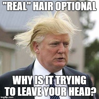 Donald Trump | "REAL" HAIR OPTIONAL; WHY IS IT TRYING TO LEAVE YOUR HEAD? | image tagged in donald trump | made w/ Imgflip meme maker