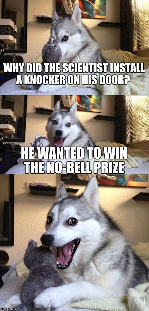 Bad Pun Dog Meme | WHY DID THE SCIENTIST INSTALL A KNOCKER ON HIS DOOR? HE WANTED TO WIN THE NO-BELL PRIZE | image tagged in memes,bad pun dog | made w/ Imgflip meme maker